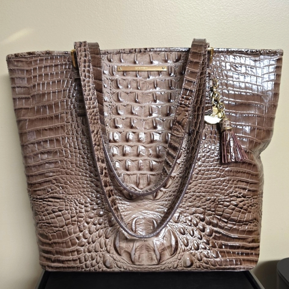 Brahmin Nutmeg Asher